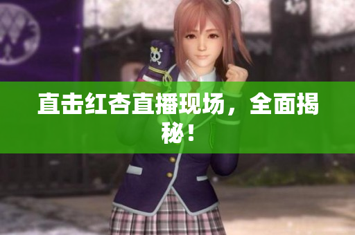 直击红杏直播现场，全面揭秘！