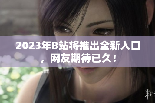 2023年B站将推出全新入口，网友期待已久！