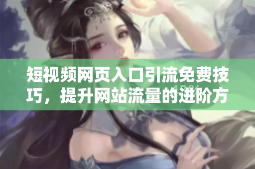 短视频网页入口引流免费技巧，提升网站流量的进阶方法