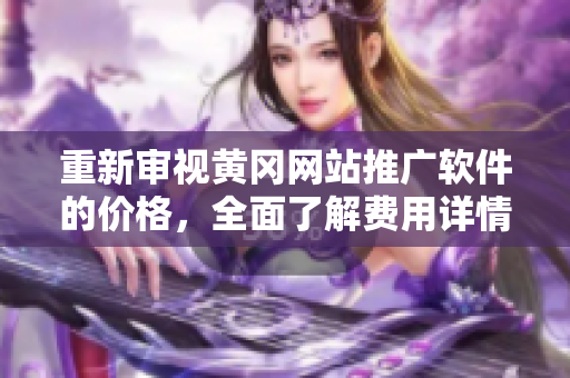 重新审视黄冈网站推广软件的价格，全面了解费用详情
