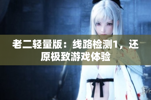 老二轻量版：线路检测1，还原极致游戏体验