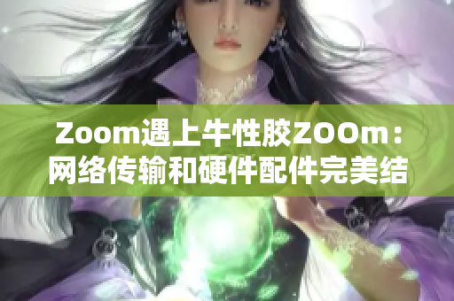 Zoom遇上牛性胶ZOOm：网络传输和硬件配件完美结合