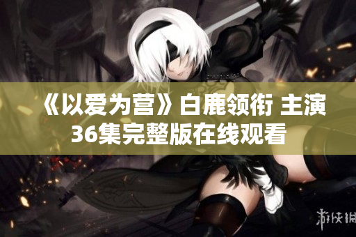 《以爱为营》白鹿领衔 主演36集完整版在线观看