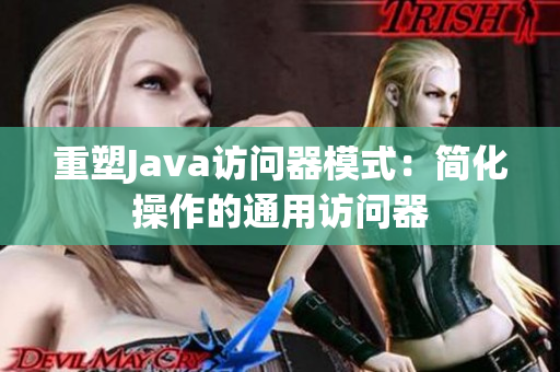 重塑Java访问器模式：简化操作的通用访问器