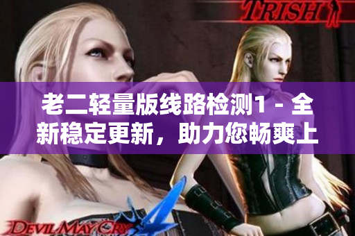 老二轻量版线路检测1 - 全新稳定更新，助力您畅爽上网