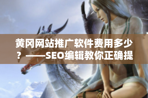 黄冈网站推广软件费用多少？——SEO编辑教你正确提问