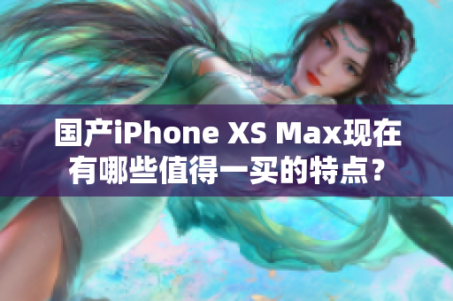 国产iPhone XS Max现在有哪些值得一买的特点？