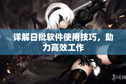 详解日批软件使用技巧，助力高效工作