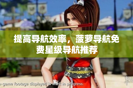 提高导航效率，菠萝导航免费星级导航推荐