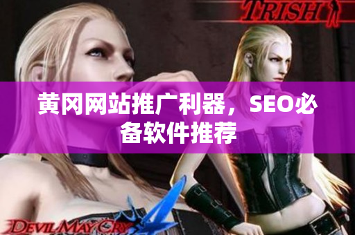 黄冈网站推广利器，SEO必备软件推荐