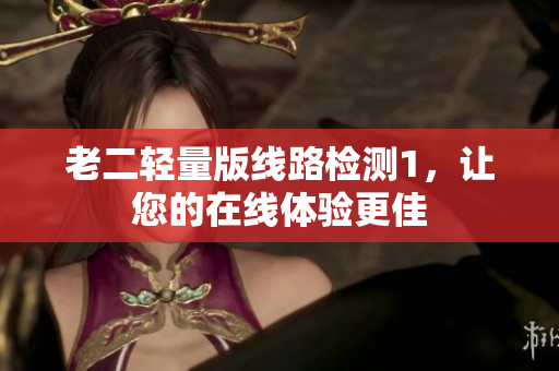 老二轻量版线路检测1，让您的在线体验更佳