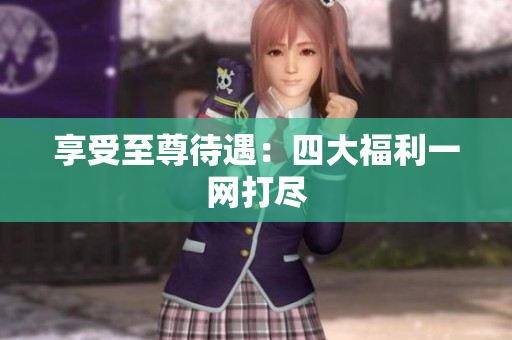 享受至尊待遇：四大福利一网打尽