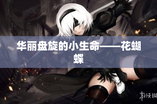 华丽盘旋的小生命——花蝴蝶