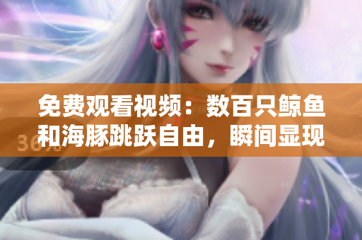 免费观看视频：数百只鲸鱼和海豚跳跃自由，瞬间显现的气势让人惊艳！