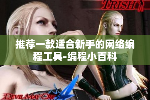 推荐一款适合新手的网络编程工具-编程小百科